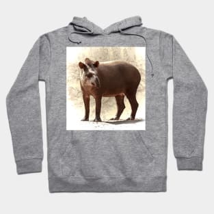 Tapir Hoodie